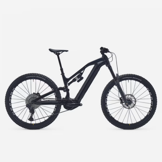 Vélo VTT électrique All-Mountain tout suspendu  ROCKRIDER 29" - E-FEEL 900S Team Edition