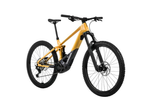 ORBEA WILD H20-EAGLE Vollgefedertes Elektro-Mountainbike - 750Wh (2024) 